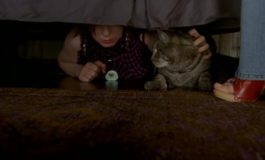 Улов / The Catch